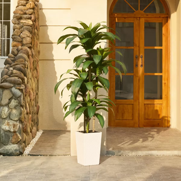 Dr.Planzen 5-6ft UV & Sunproof Artificial Dracaena Tree for Indoor/Outdoor - Faux Silk Plant in Tall Planter, Tall Faux Tree for Home & Garden Decor