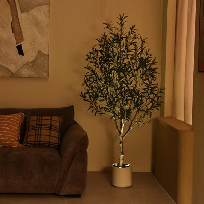 DR.Planzen 5/6FT Illuminated Artificial Olive Tree with LED Planter, Twinkling Faux Olive Tree for Christmas Holiday Decor, Indoor Festive Lighting