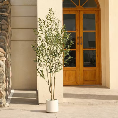 Dr.Planzen Artificial Olive Tree 5FT-7FT Tall - Realistic Tree with Potted White Planter, UV Resistant Leaves, Adjustable Branches for Home Decor