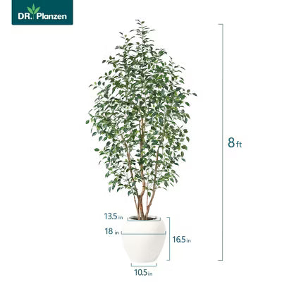 Dr.Planzen 8ft Artificial Ficus Tree with 18in White Planter, Tall Faux Ficus Trees with Real Wood Branches for Indoor and Outdoor Home Decor