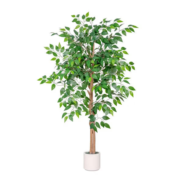 Romswi 5FT 6FT Artificial Ficus Tree with White Planter, Realistic Leaves, Natural Wood Trunk, Faux Greenry Plant, Indoor Home Office Decor 5-FT