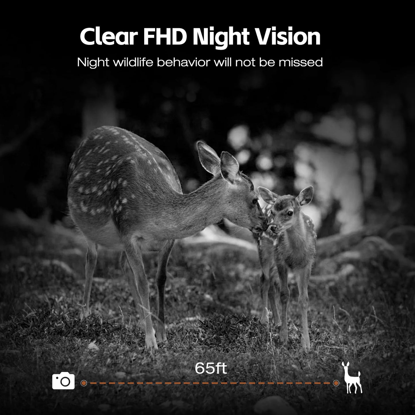 CAMPARK Solar Powered Trail Camera 48MP 4K Hunting Game Camera with Night Vision Motion Activated Waterproof IP66 Loop Recording 0.1s Trigger Time Deer Trail Cam Built-in 2000mAh Battery