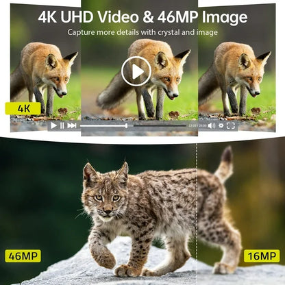 CAMPARK Solar WiFi Trail Camera Native 4K 30fps 46MP Super Concealment Hunting Deer Game Camera wtih 4400mAh Night Vision Motion Activated Waterproof IP66 Trail Wildlife Camera wtih SD Card