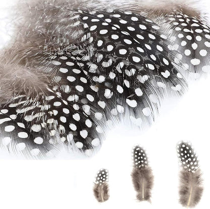 200Pcs Assorted Feathers, 4 Styles Chicken Feathers for DIY Crafts Dream Catcher Halloween Costume Carnival Party Mask Decoration