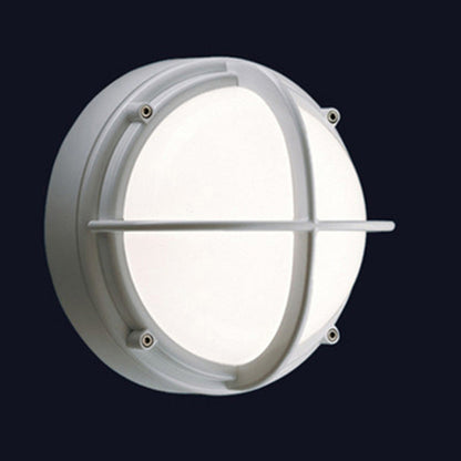 Skot Outdoor Wall or Ceiling Light
