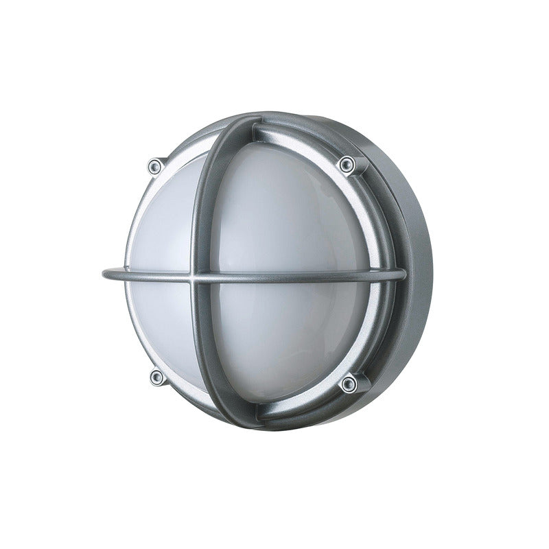 Skot Outdoor Wall or Ceiling Light