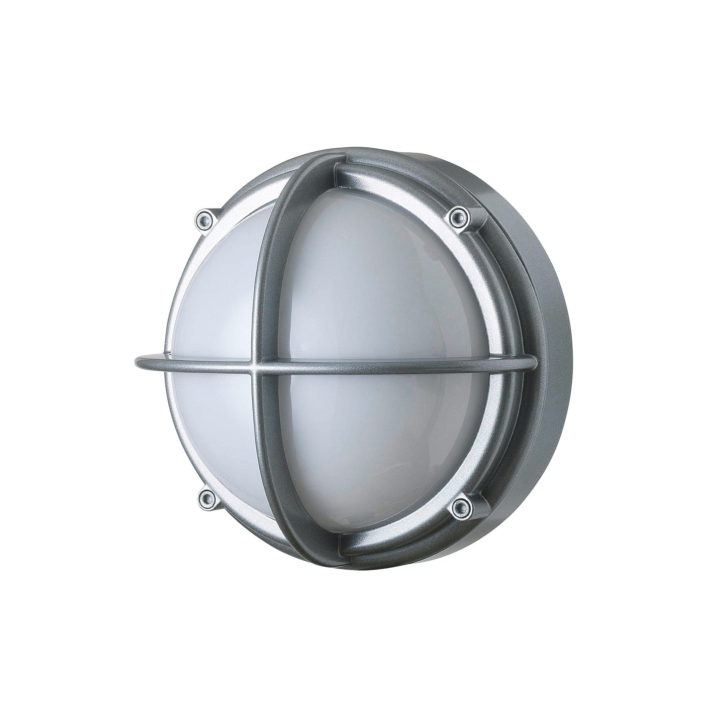 Skot Outdoor Wall or Ceiling Light