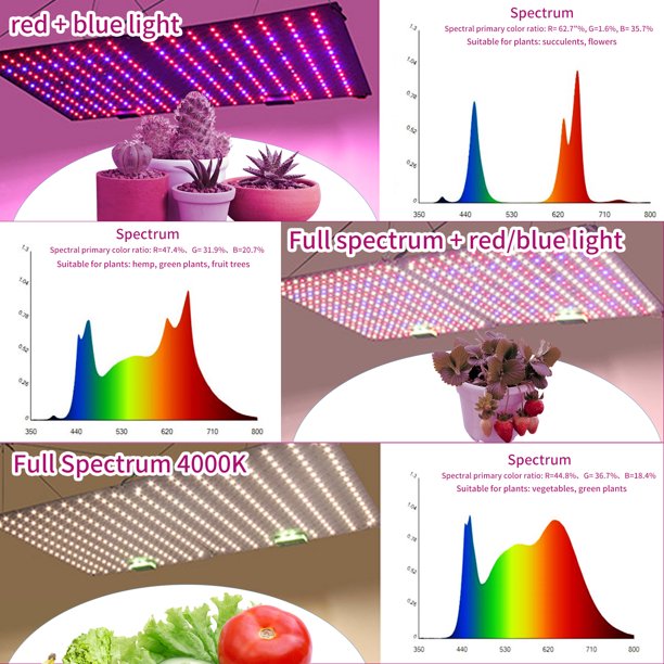 TUOY Grow Light 1200W Full Spectrum Grow Lights for Indoor Plants Red Blue Spectrum Plant Light 3 Light Modes with 306/612 LED for Hydroponics