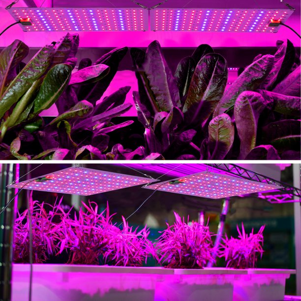 TUOY Grow Light 1200W Full Spectrum Grow Lights for Indoor Plants Red Blue Spectrum Plant Light 3 Light Modes with 306/612 LED for Hydroponics