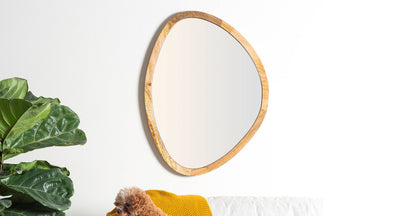 Safie Mirror