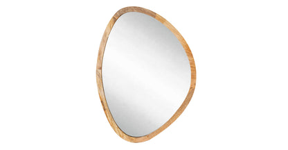 Safie Mirror