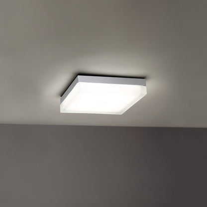 Matrix Outdoor Wall / Ceiling Light