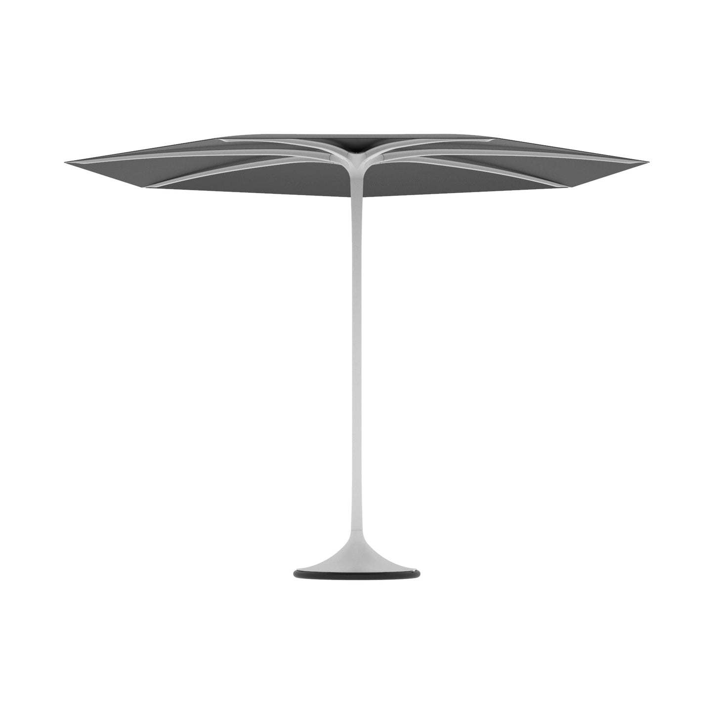Palma Umbrella