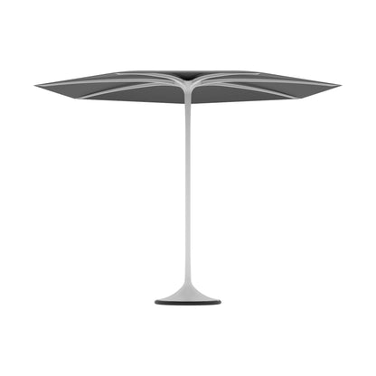 Palma Umbrella