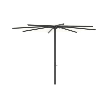 Bloom Round Umbrella