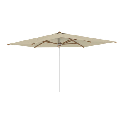 Shady Rectangle Umbrella with Teak Ribs