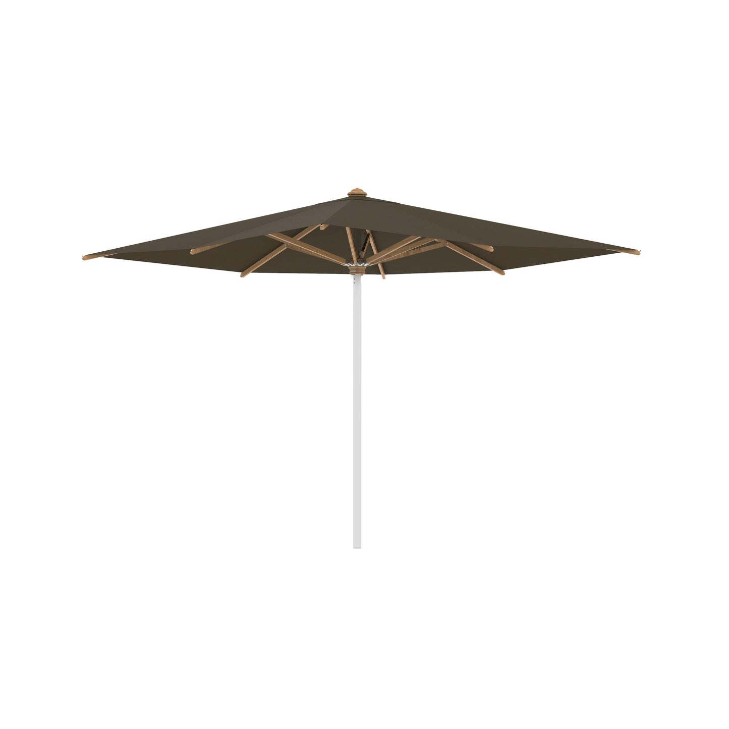 Shady Square Umbrella with Teak Ribs