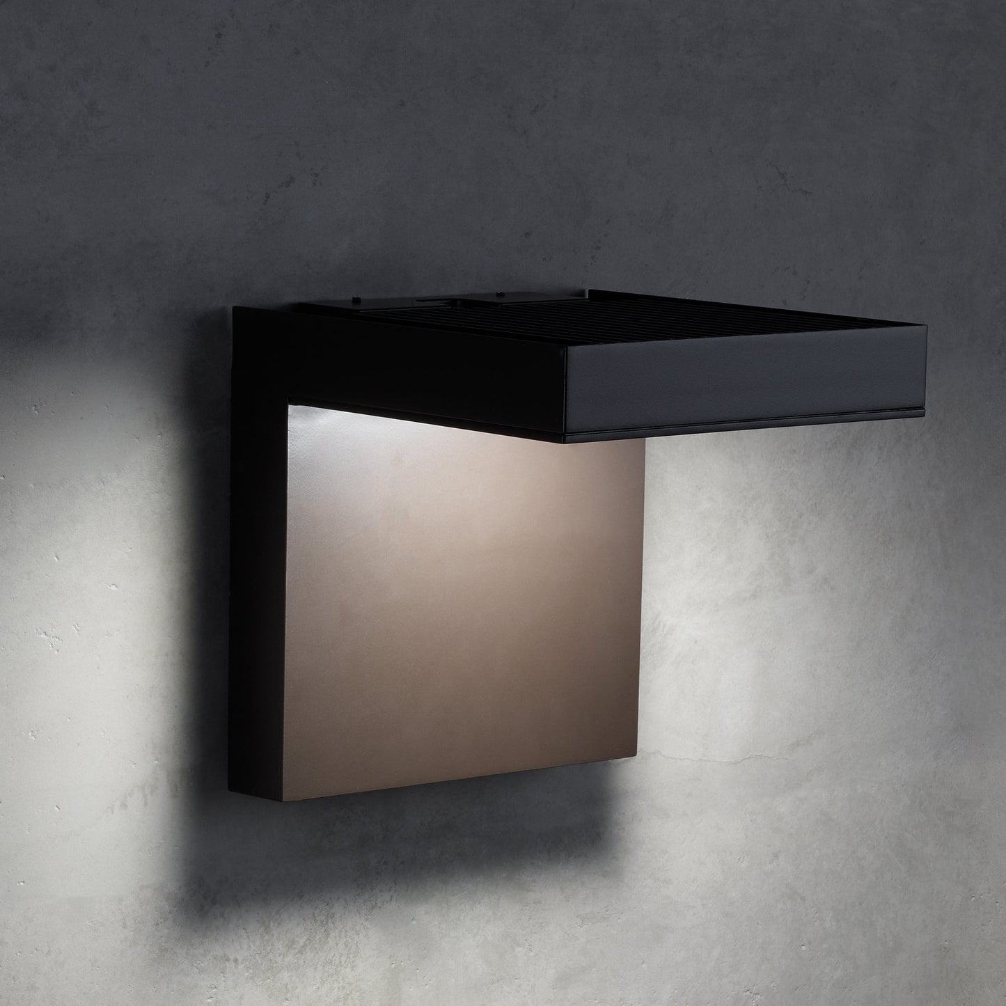Taag 10 Outdoor Wall Light