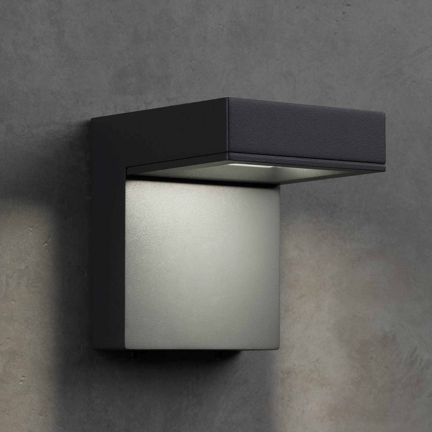 Taag 6 Outdoor Wall Light