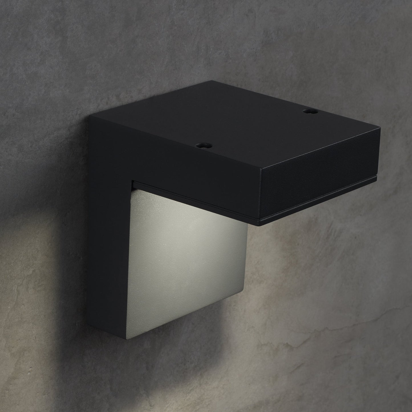 Taag 6 Outdoor Wall Light