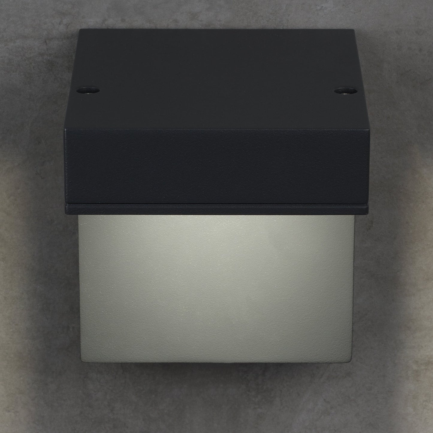 Taag 6 Outdoor Wall Light