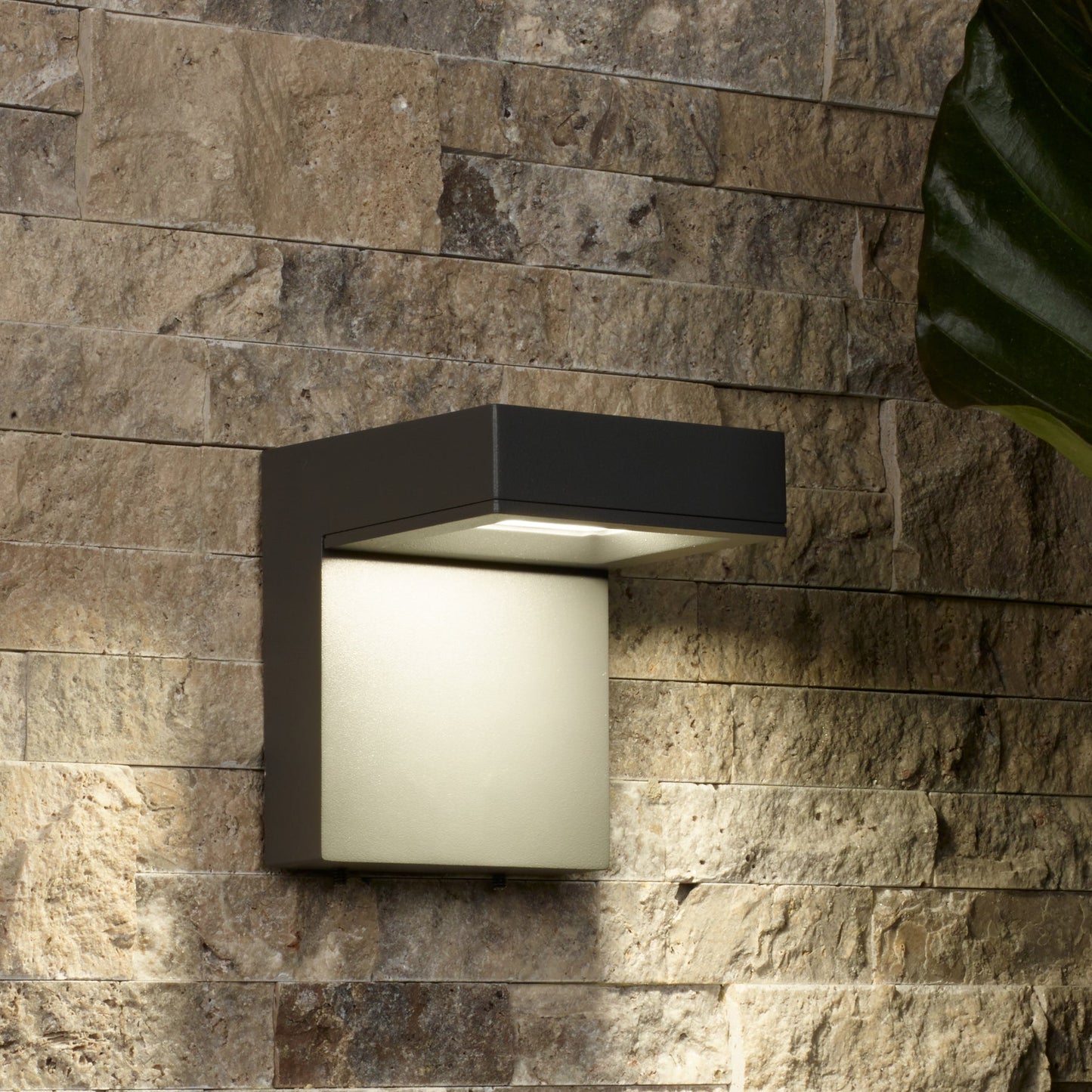 Taag 6 Outdoor Wall Light