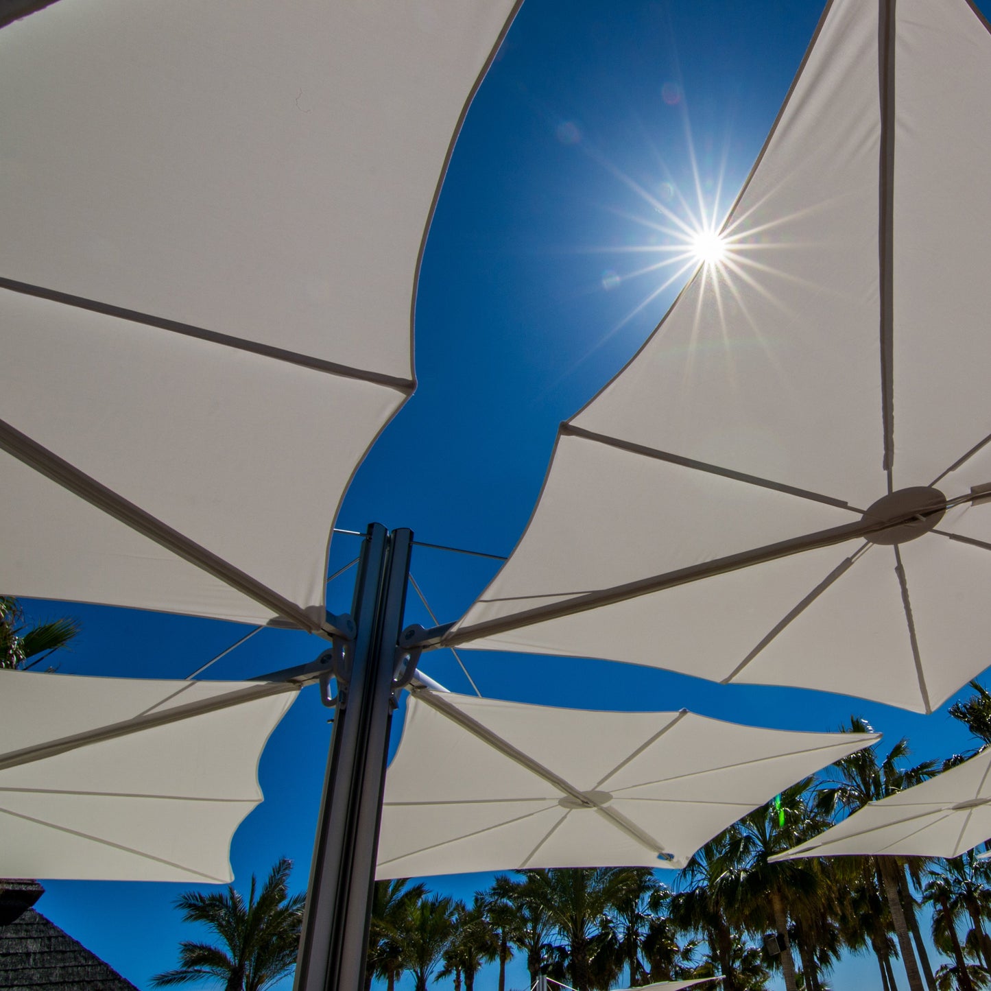 Spectra Multi Umbrella